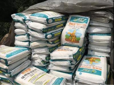 新闻中心技术服务 打造高效、智能的现代新闻传播生态